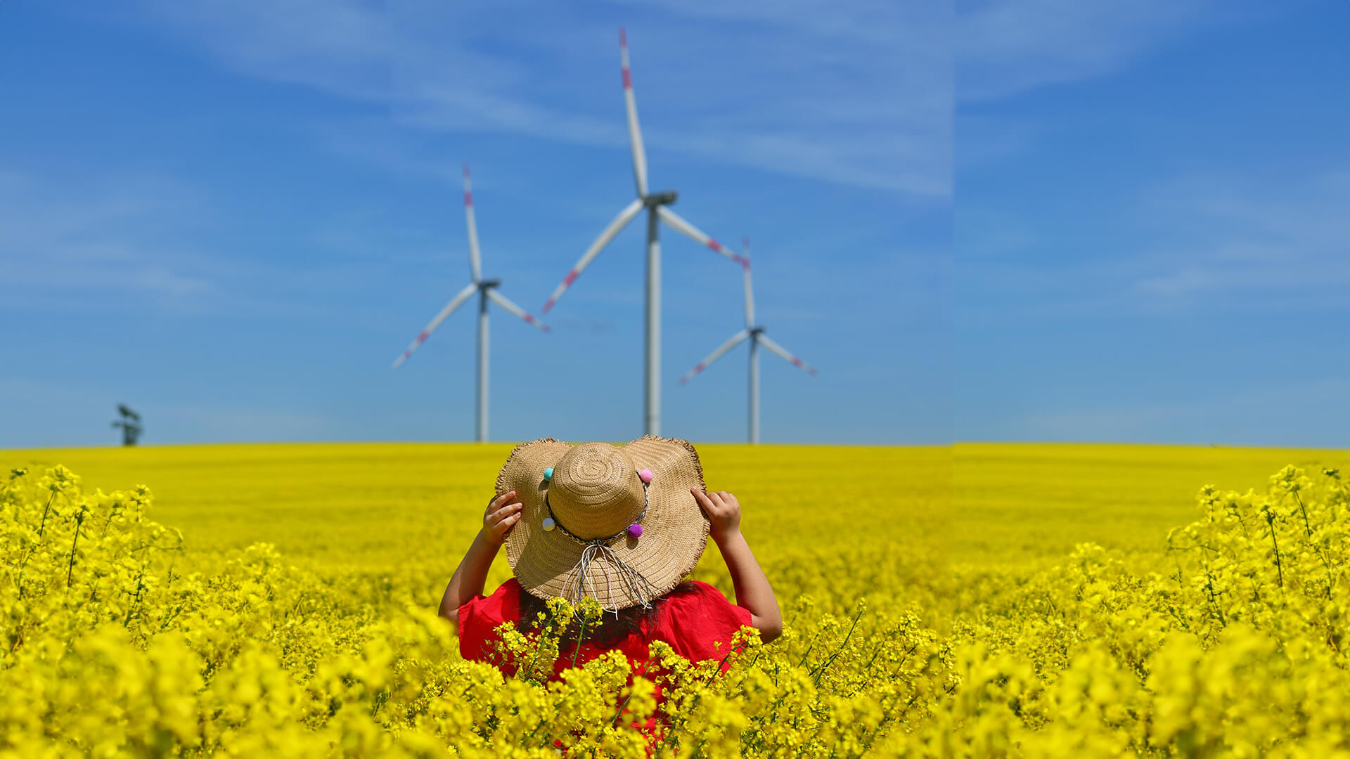 Community Football Wind Farm