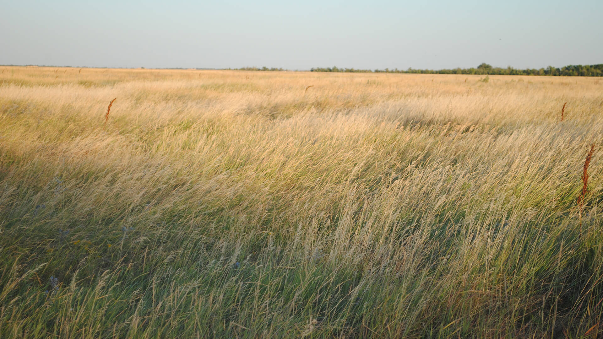 Community School Wind Farm